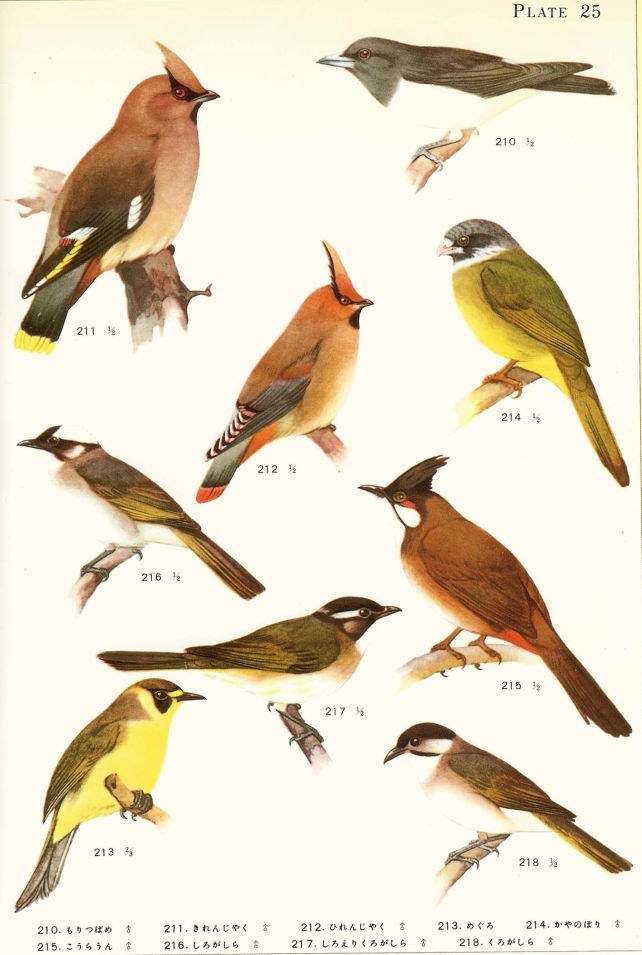 鳥類原色大図説 全3巻